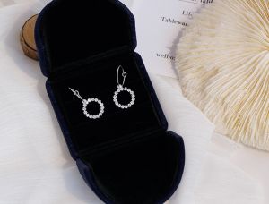 PK4620 - Bông tai bạc 925 đá zircon cao cấp