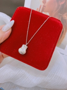 TTN10124 - Dây chuyền titan túi tiền (màu trắng)